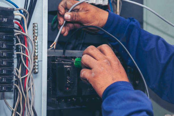 Best Electric Panel Repair  in Forest City, NC